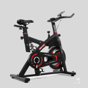 Exercise Cycle